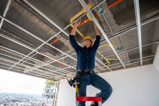 Best Best Plumbers Near Me  in East Moline, IL