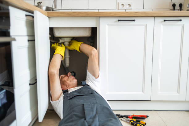 Best Plumbing Repair Near Me  in East Moline, IL